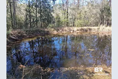 43053 State Highway 225, Bay Minette, AL 36507 - Photo 33