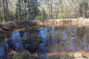43053 State Hwy 225, Bay Minette, AL 36507 - Photo 33