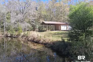 43053 State Hwy 225, Bay Minette, AL 36507 - Photo 31