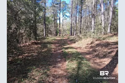 43053 State Highway 225, Bay Minette, AL 36507 - Photo 3