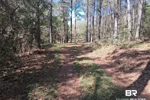 43053 State Hwy 225, Bay Minette, AL 36507 - Photo 3