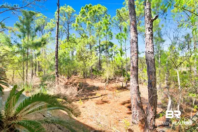 9261 Genipa Way, Gulf Shores, AL 36542 - Photo 45