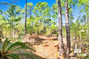 9261 Genipa Way, Gulf Shores, AL 36542 - Photo 45