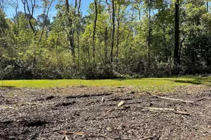 435 Cee Bee St, Robertsdale, AL 36567 - Photo 1