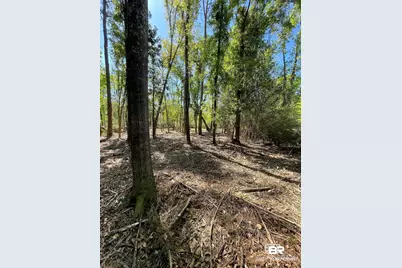 804 Cee Bee Street, Robertsdale, AL 36567 - Photo 5