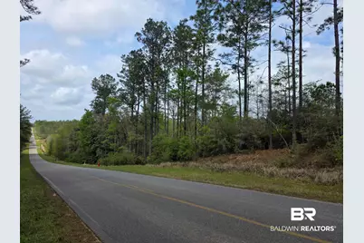 12185 Red Hill Rd Extension, Bay Minette, AL 36507 - Photo 3