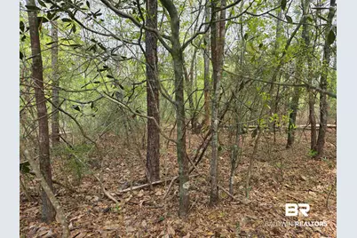 12287 Red Hill Rd Extension, Bay Minette, AL 36507 - Photo 3