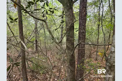 12287 Red Hill Rd Extension, Bay Minette, AL 36507 - Photo 1