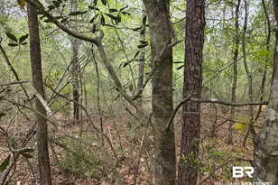12287 Red Hill Rd Ext, Bay Minette, AL 36507 - Photo 1