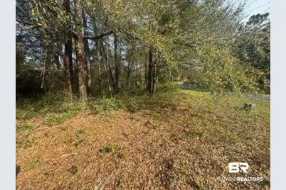 0 Delta Woods Drive, Bay Minette, AL 36507 - Photo 7