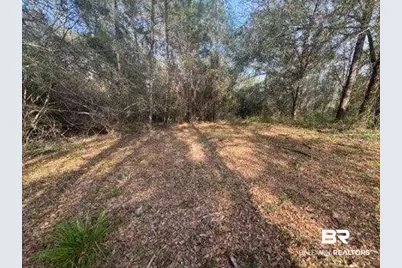 0 Delta Woods Drive, Bay Minette, AL 36507 - Photo 5