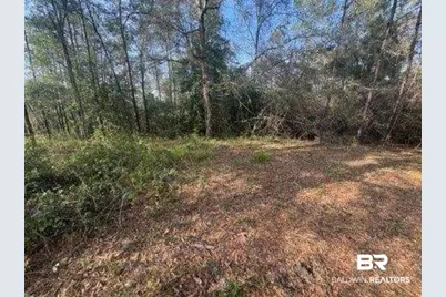 0 Delta Woods Drive, Bay Minette, AL 36507 - Photo 3