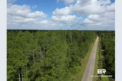 8200 Blk Grimes Road, Century, FL 32535 - Photo 3