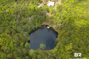3175 Dawes Lake Rd, Mobile, AL 36619 - Photo 59