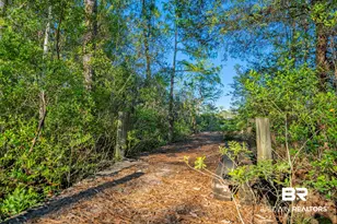 34130 Alligator Bayou Rd, Lillian, AL 36549 - Photo 63