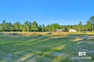 34130 Alligator Bayou Rd, Lillian, AL 36549 - Photo 53