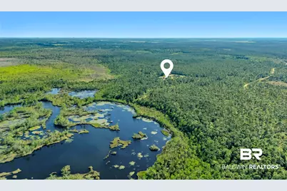 34130 Alligator Bayou Road, Lillian, AL 36549 - Photo 57