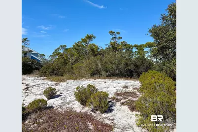 0 River Road, Orange Beach, AL 36561 - Photo 3