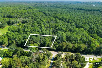 0 Beach Road, Foley, AL 36535 - Photo 7