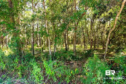 0 Beach Road, Foley, AL 36535 - Photo 3