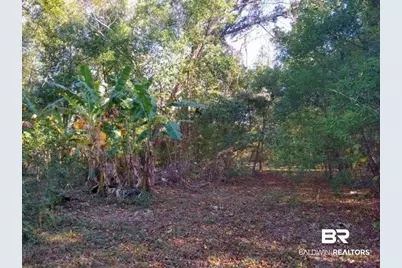 0 New Era Road, Fairhope, AL 36532 - Photo 13