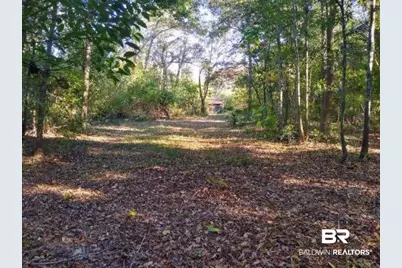 0 New Era Road, Fairhope, AL 36532 - Photo 5
