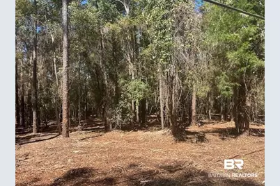 707 Daphmont Drive, Daphne, AL 36526 - Photo 13