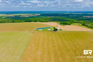 24795A County Road 32, Elberta, AL 36530 - Photo 45
