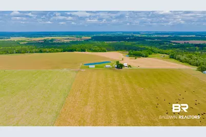 24795A County Road 32, Elberta, AL 36530 - Photo 45