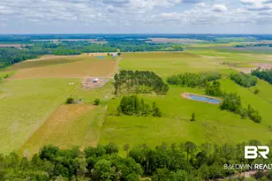 24795A County Road 32, Elberta, AL 36530 - Photo 51