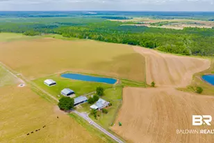 24795A County Road 32, Elberta, AL 36530 - Photo 33