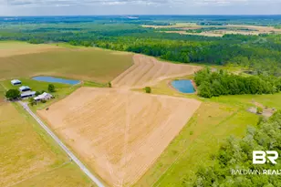 24795A County Road 32, Elberta, AL 36530 - Photo 35
