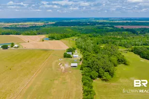 24795A County Road 32, Elberta, AL 36530 - Photo 43