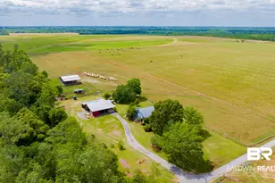 24795A County Road 32, Elberta, AL 36530 - Photo 63
