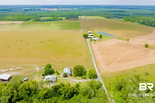 24795A County Road 32, Elberta, AL 36530 - Photo 37