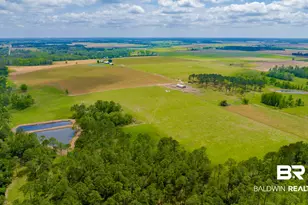 24795A County Road 32, Elberta, AL 36530 - Photo 53