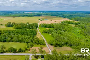 24795A County Road 32, Elberta, AL 36530 - Photo 39