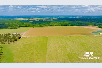 24795A County Road 32, Elberta, AL 36530 - Photo 47