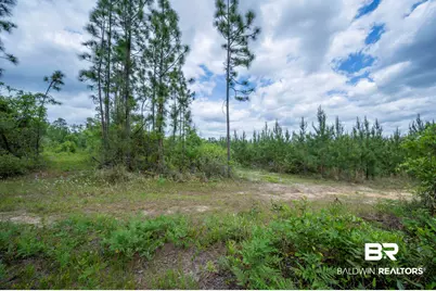 0 Phillipsville Road, Bay Minette, AL 36507 - Photo 15