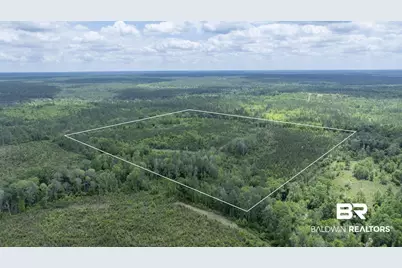 0 Phillipsville Road, Bay Minette, AL 36507 - Photo 9
