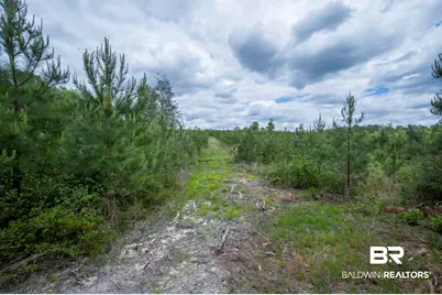 0 Phillipsville Road, Bay Minette, AL 36507 - Photo 23