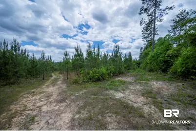 0 Phillipsville Road, Bay Minette, AL 36507 - Photo 21