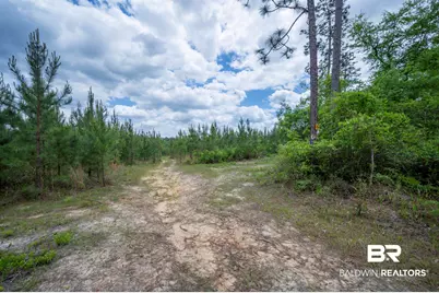 0 Phillipsville Road, Bay Minette, AL 36507 - Photo 19