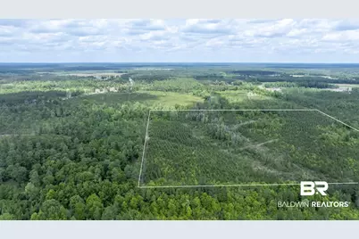 0 Phillipsville Road, Bay Minette, AL 36507 - Photo 7
