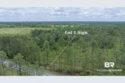 0 Phillipsville Road, Bay Minette, AL 36507 - Photo 13