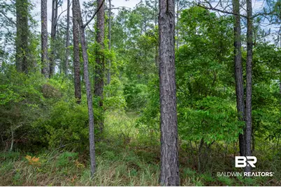 0 Phillipsville Road, Bay Minette, AL 36507 - Photo 15