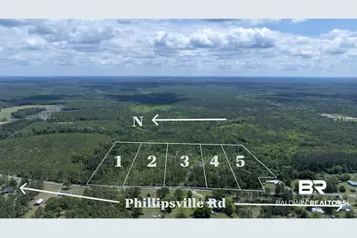 0 Phillipsville Road, Bay Minette, AL 36507 - Photo 5