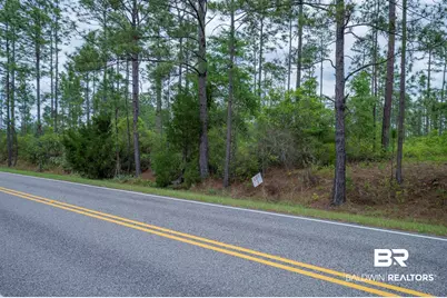 0 Phillipsville Road, Bay Minette, AL 36507 - Photo 17