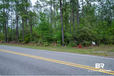 0 Phillipsville Road, Bay Minette, AL 36507 - Photo 23