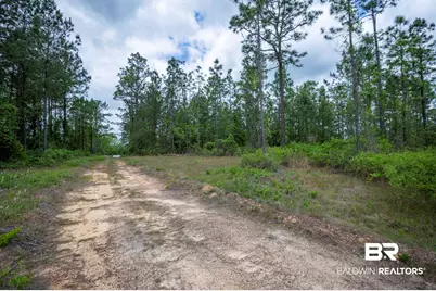 0 Phillipsville Road, Bay Minette, AL 36507 - Photo 19